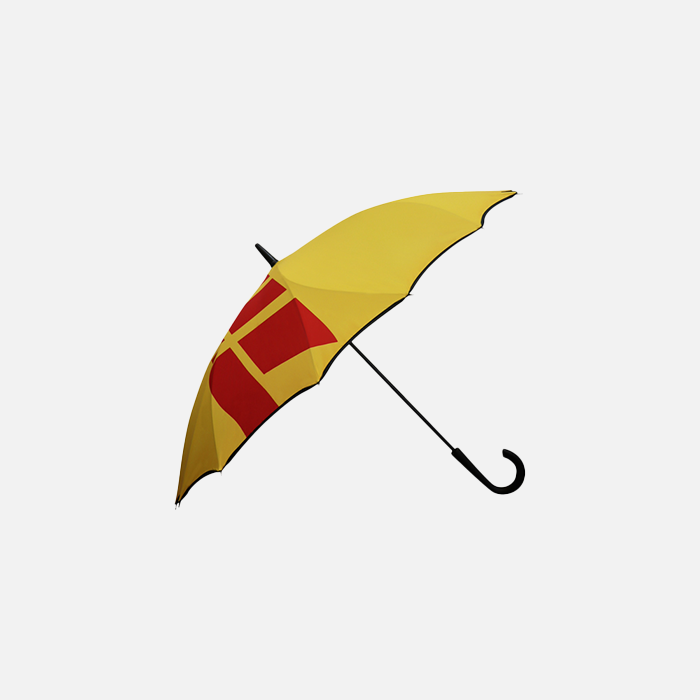 Walking umbrella