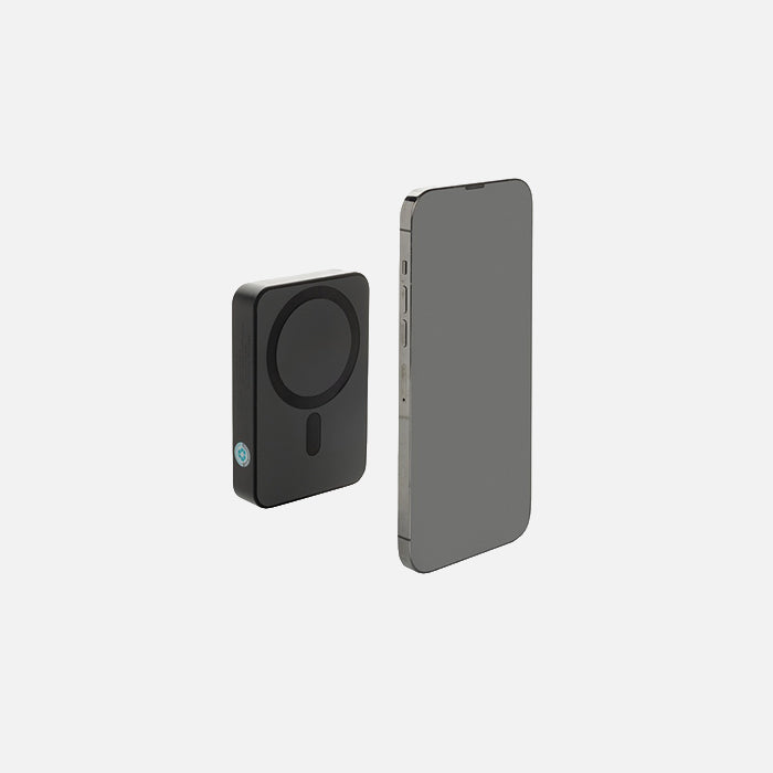 Powerbank, DP DHL