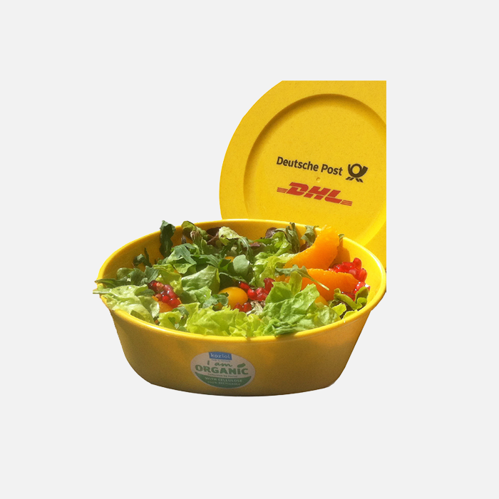 Lunch to go. CONNECT Box 1,3 L, DP DHL